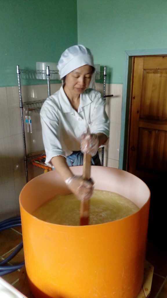 チーズづくりには、1日300リットルのミルクを使います。トラックで運ばれてきたミルクを湯煎して殺菌することからスタートするのですが、30リットルの鍋で湯煎するので、10回、繰り返します