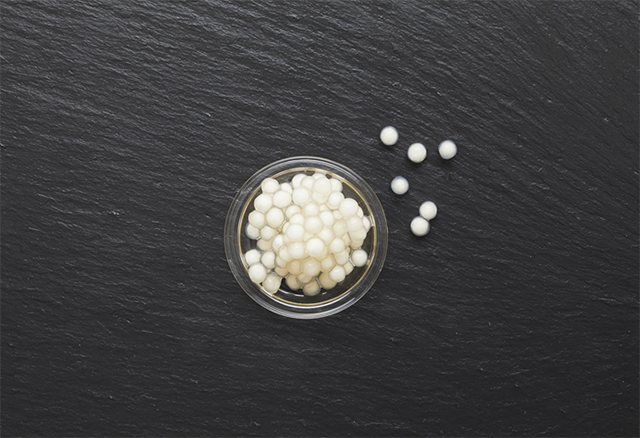 乳酸菌ボール 100円（税込）