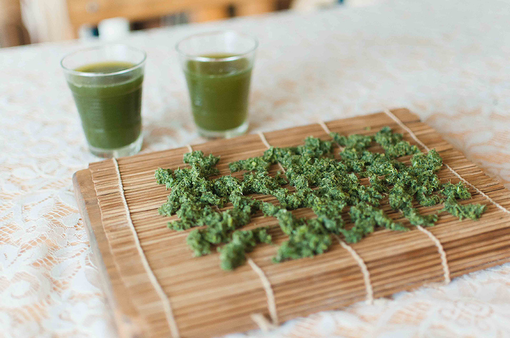 摘んできた蓬を絞って、その搾り粕を天日干ししているところ。