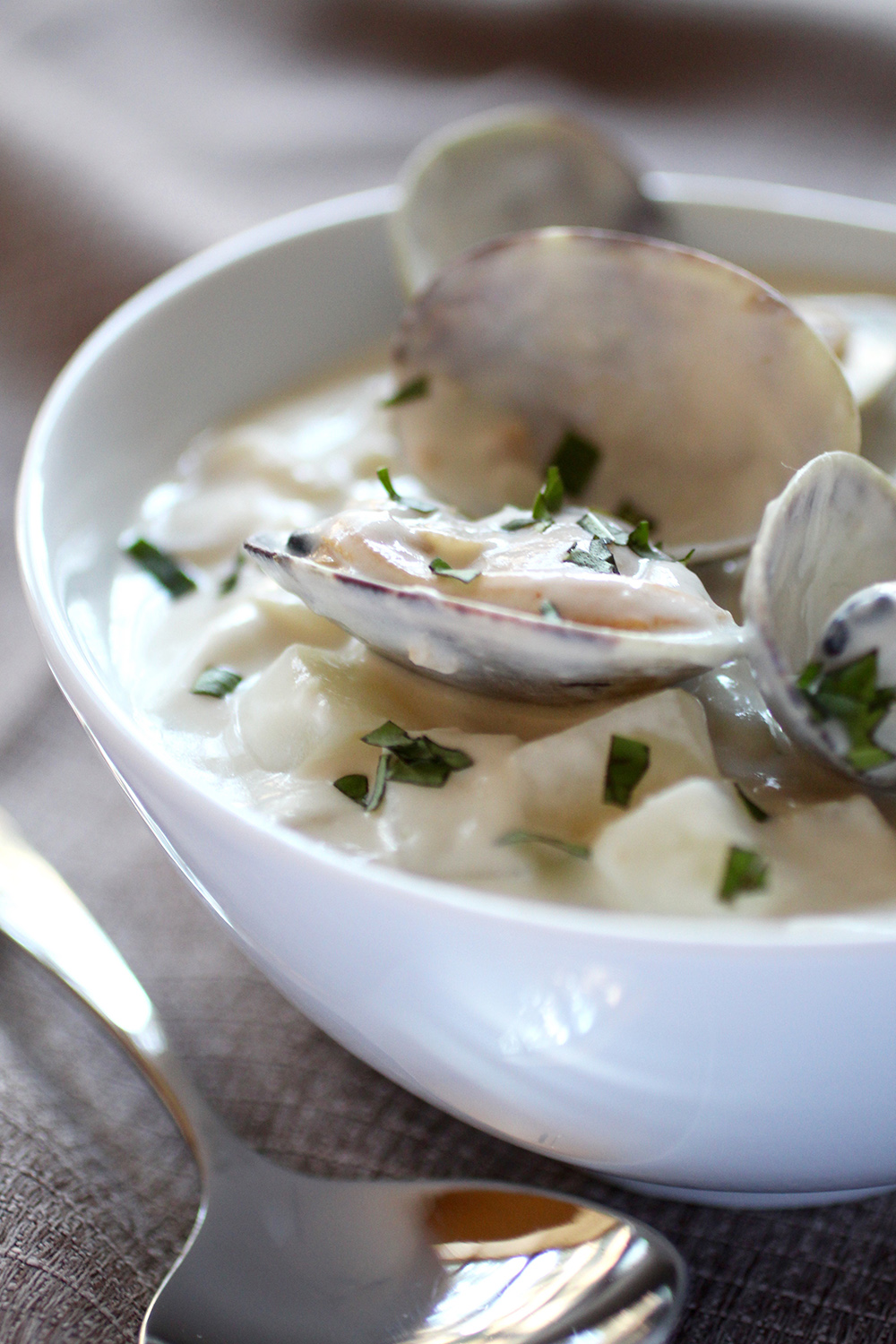 New England Clam-chowder with Nam pla