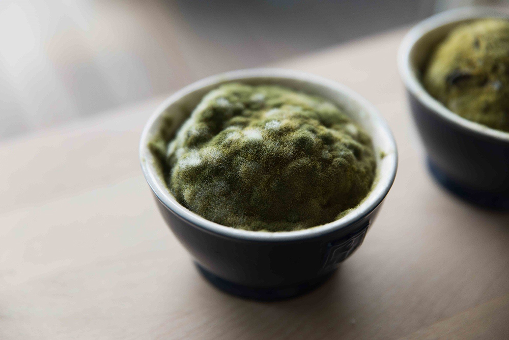 It all started from mould on rice