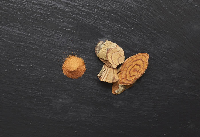 サラシア 100円（税込）