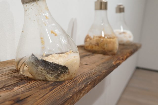 発酵,発酵食,甘い記憶/食べる/続けて残ったもの,南風食堂,フードスケープ〜私たちは食べたものでできている（アーツ前橋）：発酵ライフを楽しむ haccola（ハッコラ）