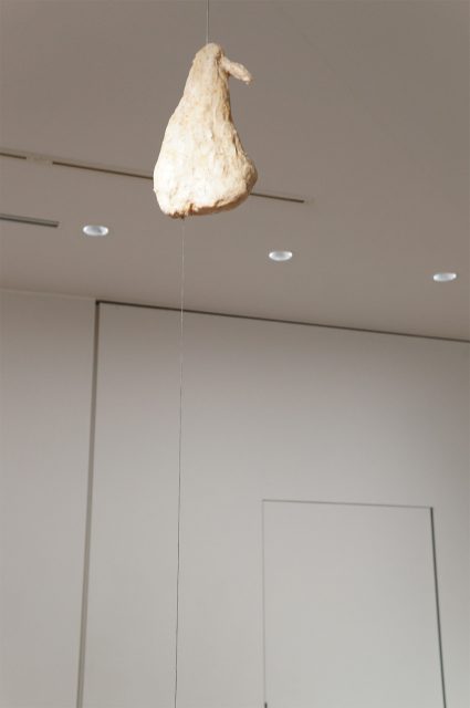 発酵,発酵食,甘い記憶/食べる/続けて残ったもの,南風食堂,フードスケープ〜私たちは食べたものでできている（アーツ前橋）：発酵ライフを楽しむ haccola（ハッコラ）