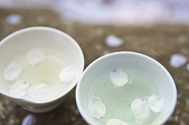 春の日本酒、春酒・花見酒ってどんなお酒？