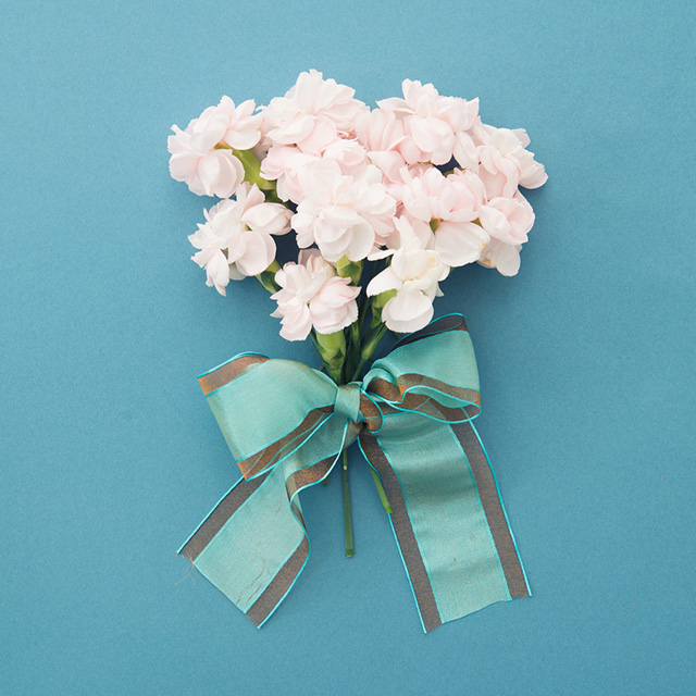 【2017年母の日ギフト】毎日いただいてもおいしい発酵ギフト3選