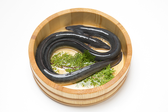 「土用丑の日」が2回ある“二の丑”