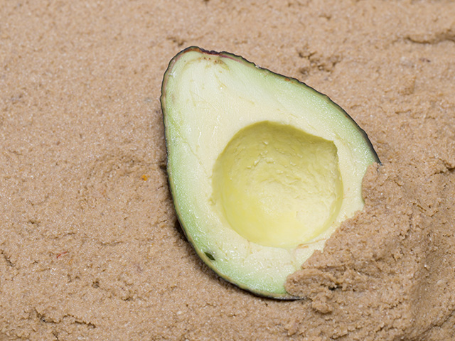 ぬか床に漬けられたアボカド