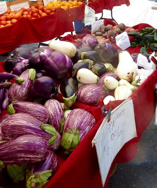 Regular eggplant