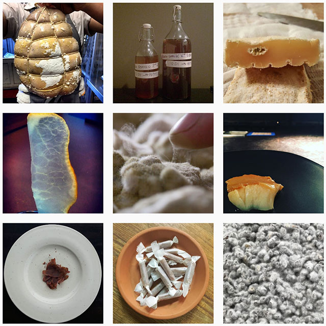 koji [麹] は世界のフードトレンド！海外シェフたちも醸し中！