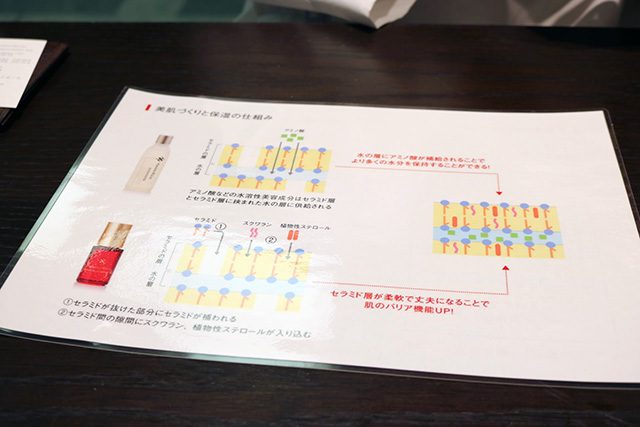 セラミドの頭の部分とアミノ酸は仲がいいので、角質の中に一緒に留まってくれます