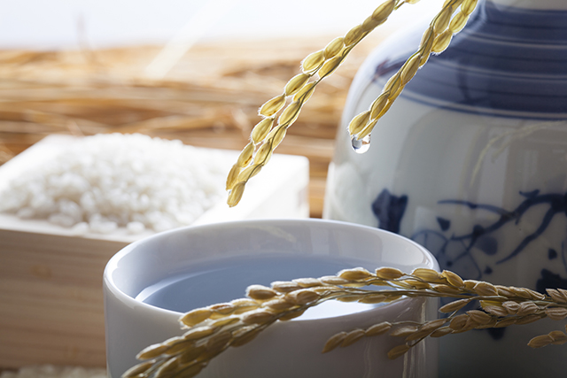 「しぼりたて」や「初しぼり」ってどんなお酒？