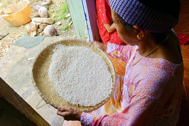 タペクタン作りの前日、イブが外に向かってタペクタン用のもち米のゴミや悪い米をより分ける