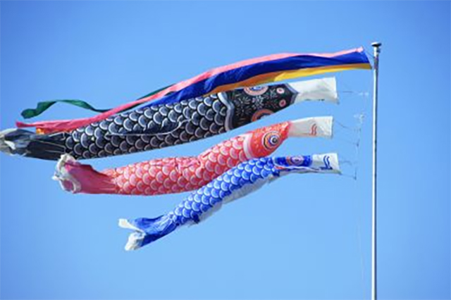 鯉のぼり