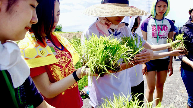 学生による酒米田植え