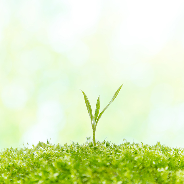 いよいよ始動！“エピソード0(ゼロ)”の時候『啓蟄(けいちつ)』：発酵ワクワク大使の二十四節気のお話