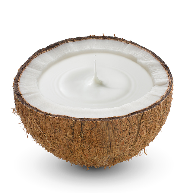 ココナッツミルクでヨーグルトを作ろう！市販のヨーグルト種菌を使ってチャレンジ♪