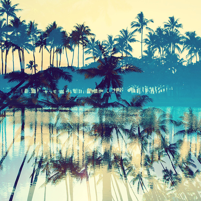 【土用とは？】発酵ワクワク大使の雑節のお話