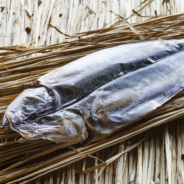 「くさや」が伊豆諸島で作られるようになったのはなぜですか？【教えて！小泉武夫先生】