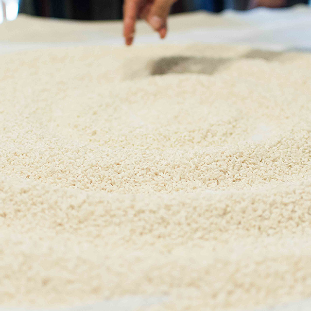 麹づくり最終章。出麹から常在菌について学ぶ、なかじさんの「麹の学校」＜後編＞