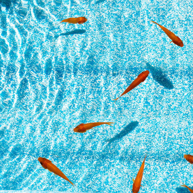 【処暑を振り返る】発酵ワクワク大使の二十四節気のお話