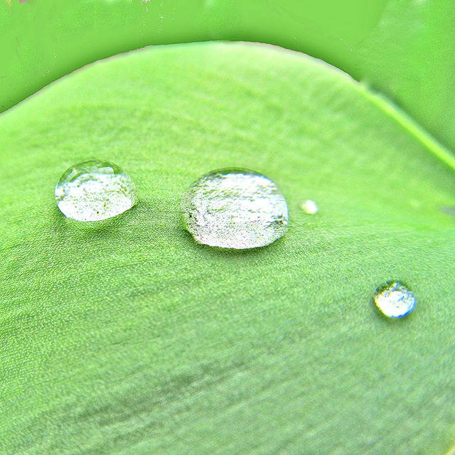 【白露】発酵ワクワク大使の二十四節気のお話