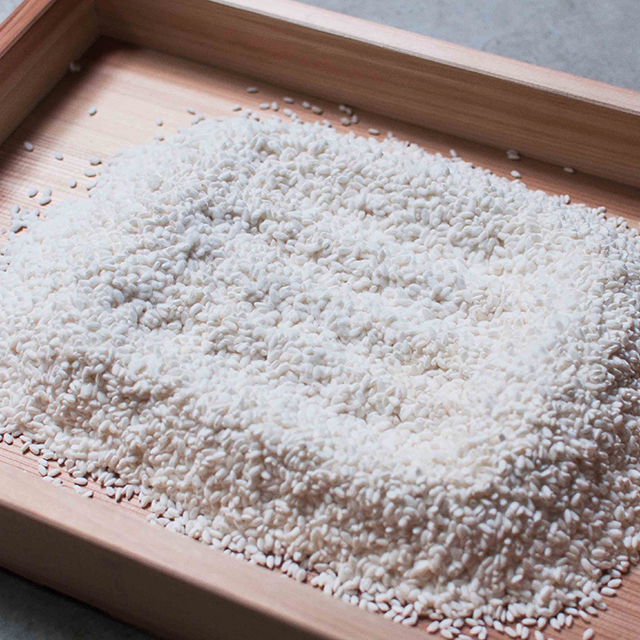 Making Koji with a professional Koji maker at a traditional Machiya house in Kyoto (Vol. 2)
