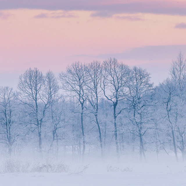 冬の土用がうなぎの旬！？「大寒」にこそ養生食を：発酵ワクワク大使の二十四節気のお話