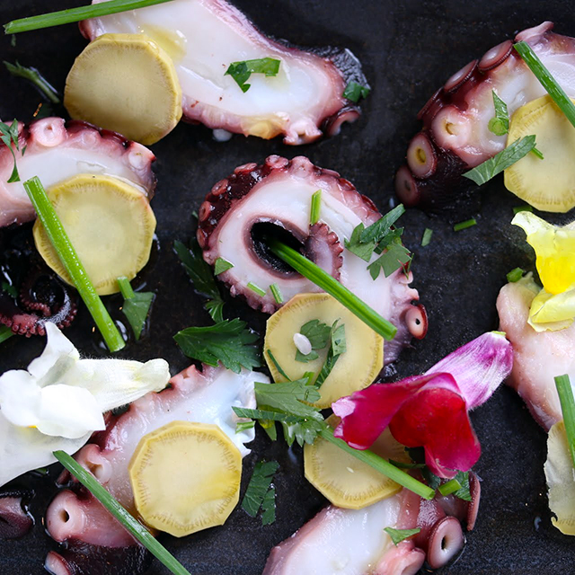 マジカルな”ぬかみそ”ワザで、ゆでダコが超プリップリに♡「タコのぬか漬けと本わさびのカルパッチョ」│発酵イタリアンレシピ