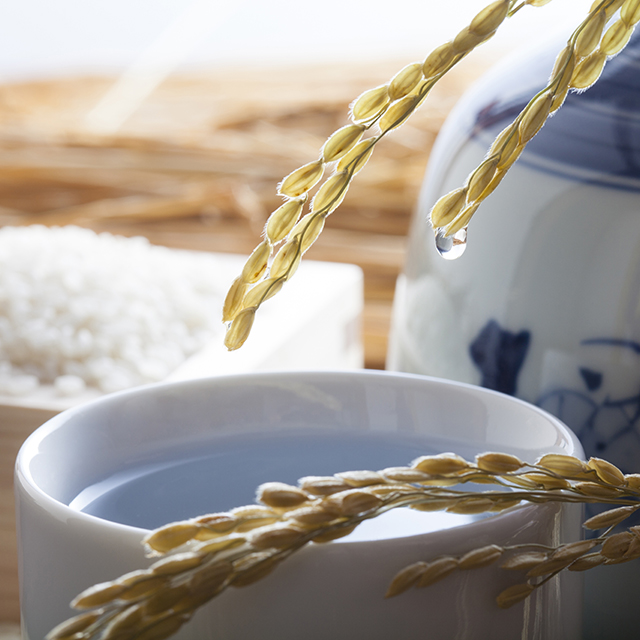 「新酒」とはどんなお酒？「しぼりたて」「初しぼり」の違いは？│マダム下宮のやさしい日本酒講座 vol.4