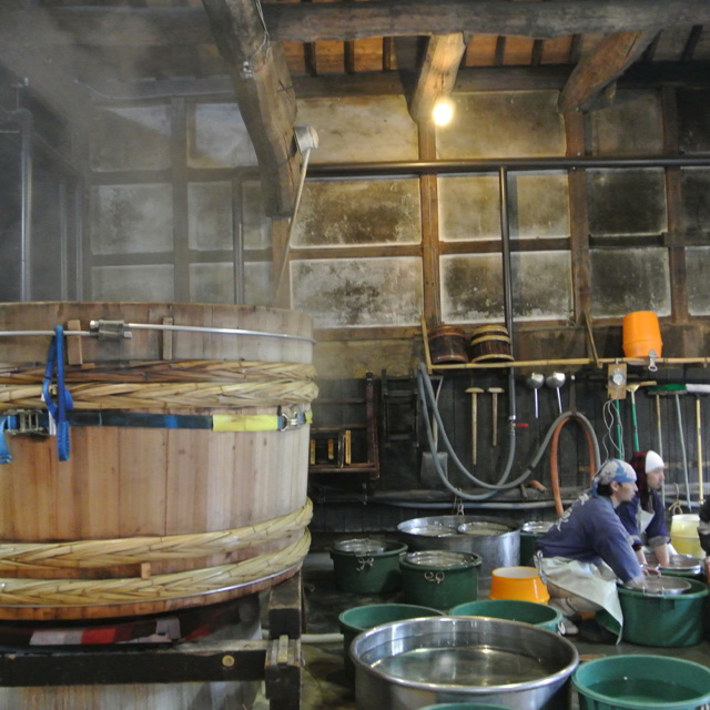 寺田本家の季節限定「五人娘」の無濾過しぼりたて生原酒「しぼったまんま」