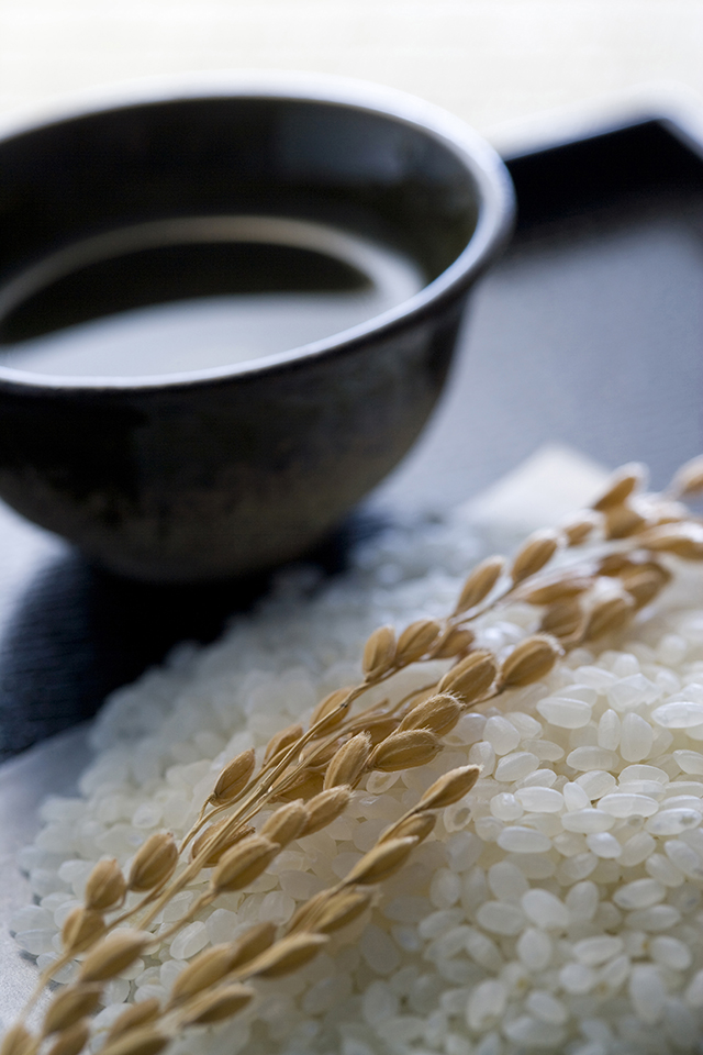 日本酒を飲むと太るって本当！？