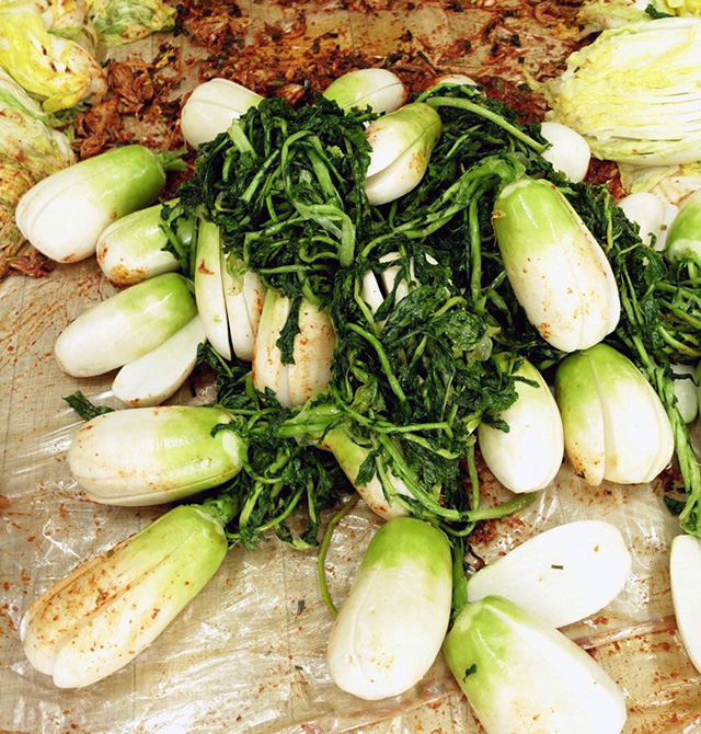 韓国の一般的な大根