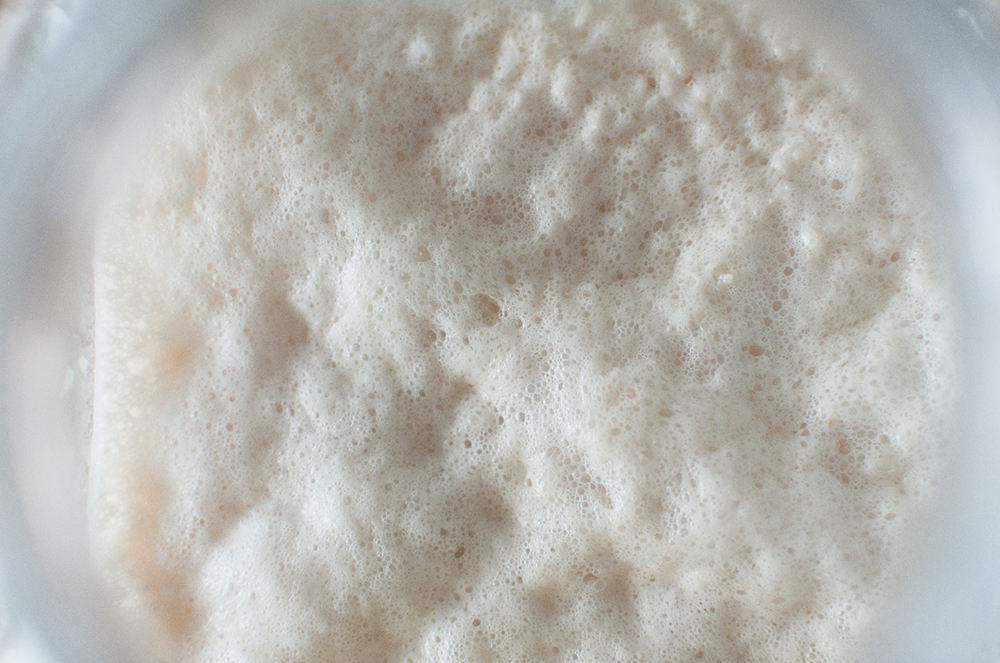 生酛（きもと）