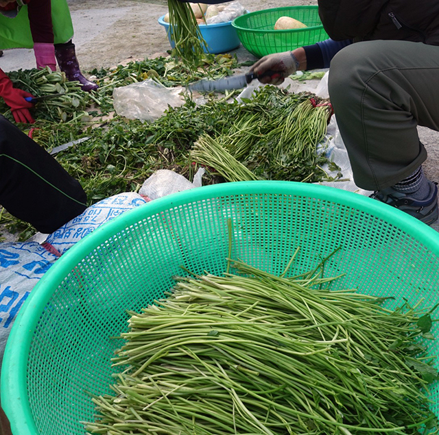 長ネギ、大根の葉は1cmぐらいに刻む