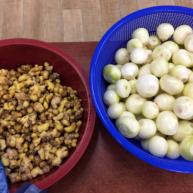 せりは葉だけを落とし5cmくらいに切っていく