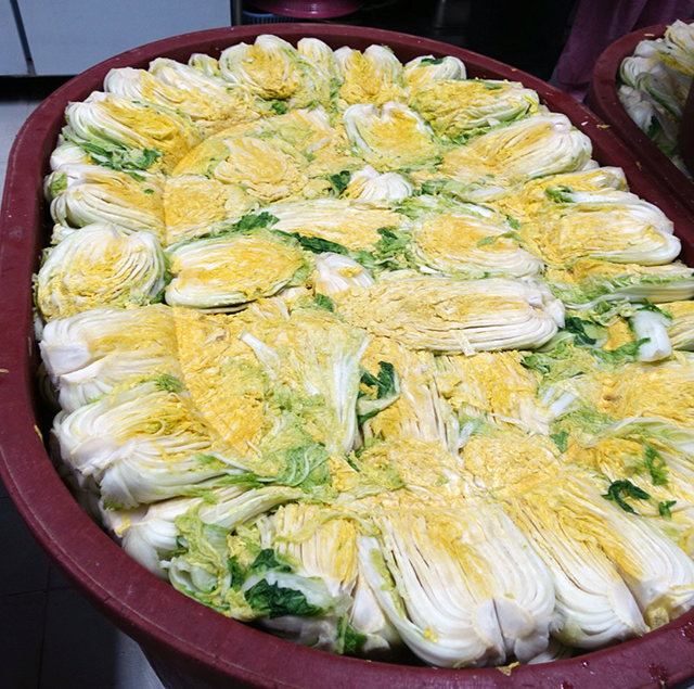 しっかりと漬かっている白菜