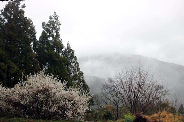 徳島の傍示・蔭井谷（ほうじ　かげいだに）地区