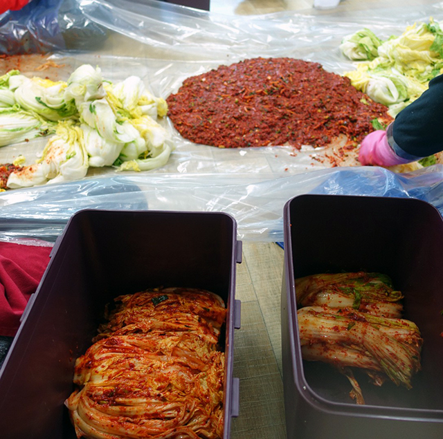 ヤンニョムを入れた白菜をキムチタッパーへ入れる：白菜の本漬け