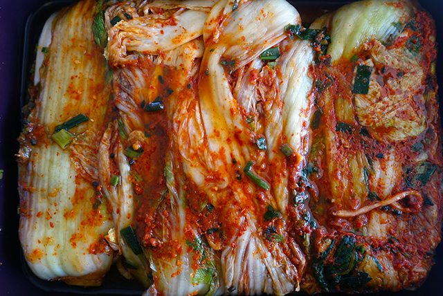 10日以上経ち、正気を取り戻したキムチ