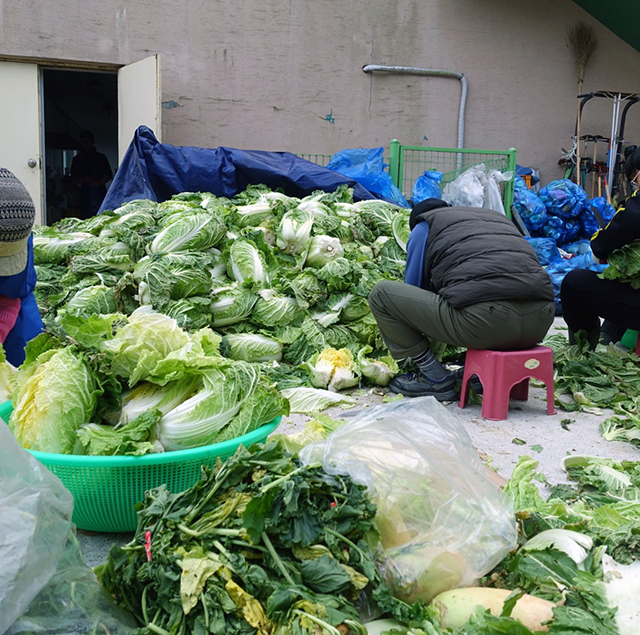 同じ体勢で白菜を切っているので体がギシギシと痛くなってくる