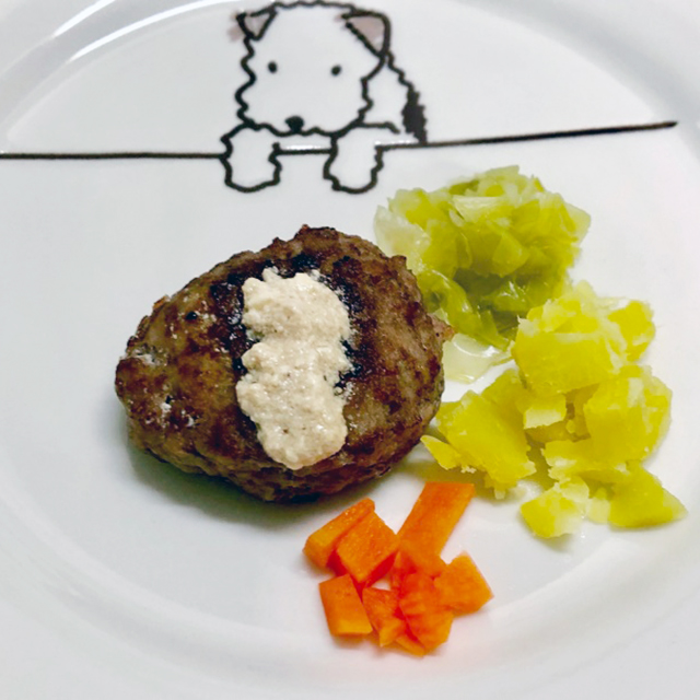 【ペットと発酵ライフ】発酵ドッグケア＆「発酵わんこハンバーグ」レシピで、ペットの健康管理を