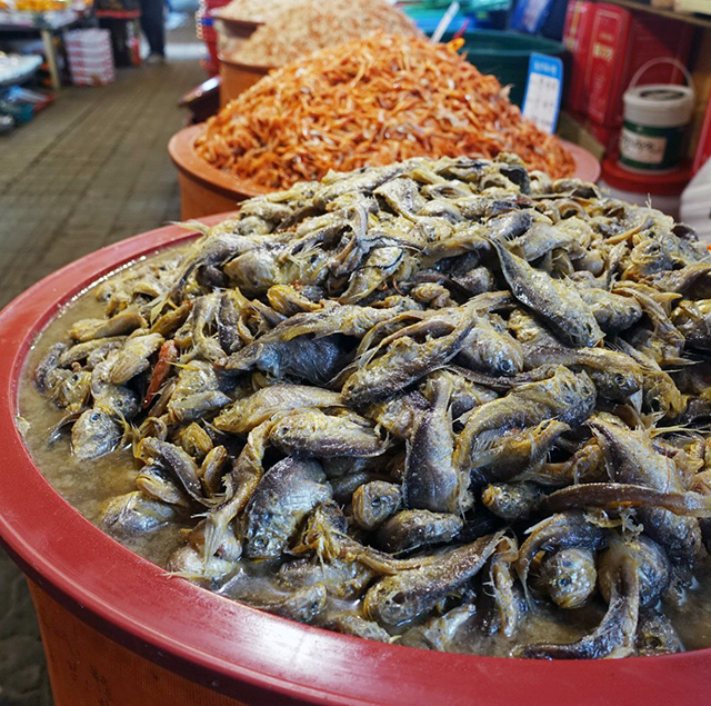 市場の塩辛（チョッカル）屋