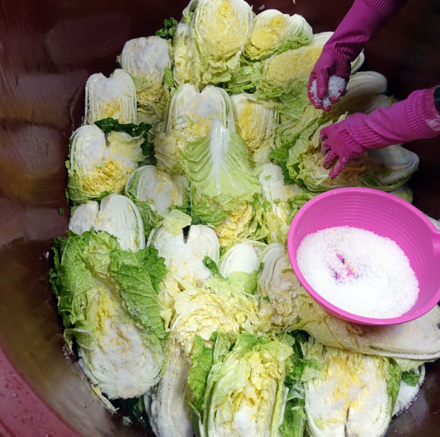 アジュンマの作業は、早いが丁寧。私だけでなく学生さんも注意されていた