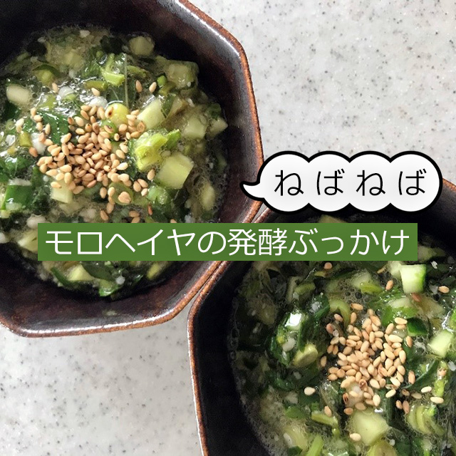 秋分の二十四節気発酵レシピ│モロヘイヤの発酵ネバネバぶっかけ、お揚げの醤油麹焼き、スパイスチキンの塩麹焼き