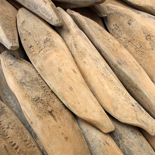 地球にやさしく、栄養満点の発酵食。日本食を支える「かつお節」の社会的価値と現状