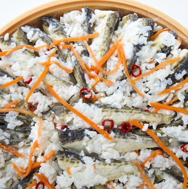 【なれずし】発酵食品リスト：haccola　発酵ライフを楽しむ「ハッコラ」